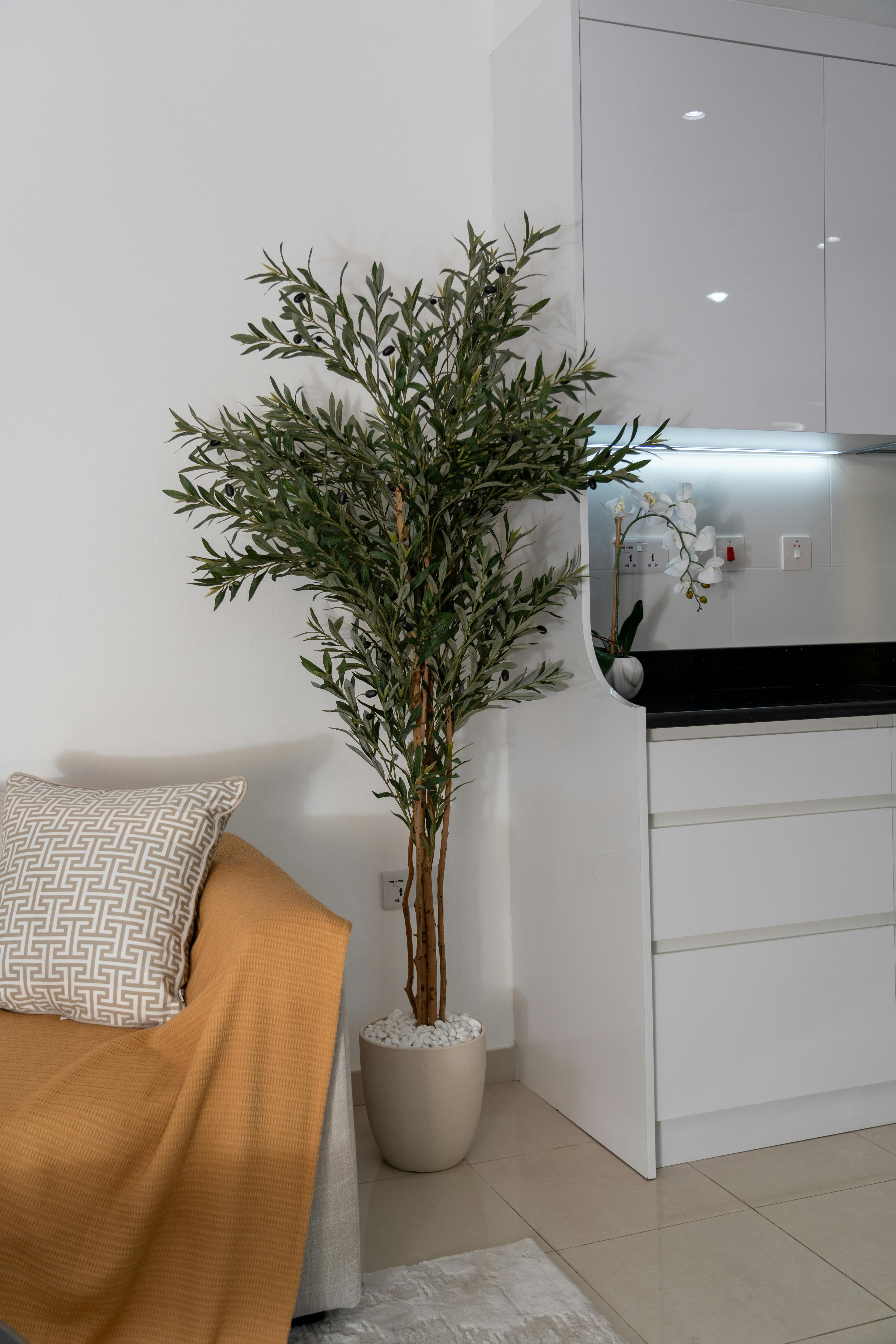 3BR Apartment in Dubai Marina